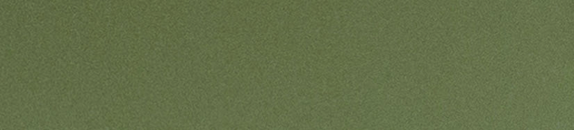 C29 C29